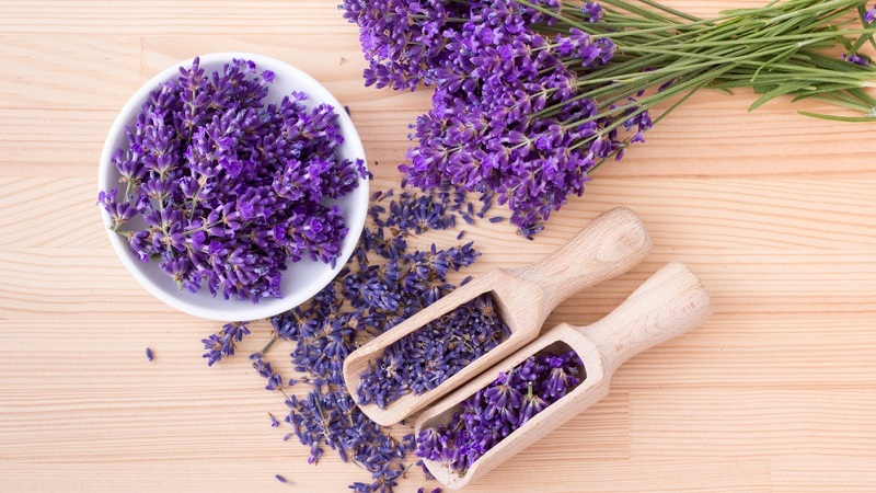 Getrockneter Lavendel in kleine Beutel verpackt, kann man direkt zu den Nahrungsmitteln legen, um die Lebensmittelmotte zu vertreiben.