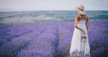 Lavendel, pflegen, schneiden