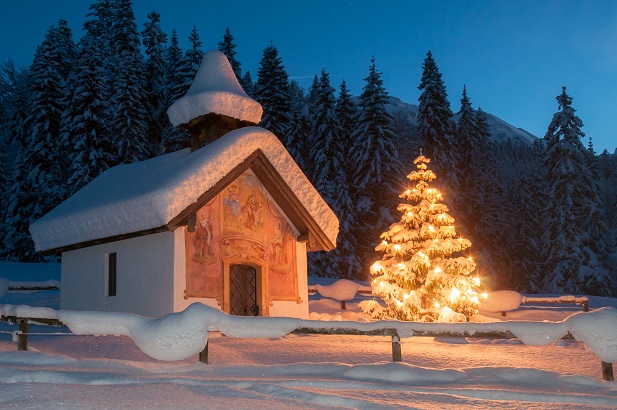 Wenn Sie einen Tannenbaum mit Wurzelballen im Topf kaufen, können Sie ihn nach der Weihnachtszeit in ein Blumenbeet pflanzen und im nächsten Jahr erneut nutzen.