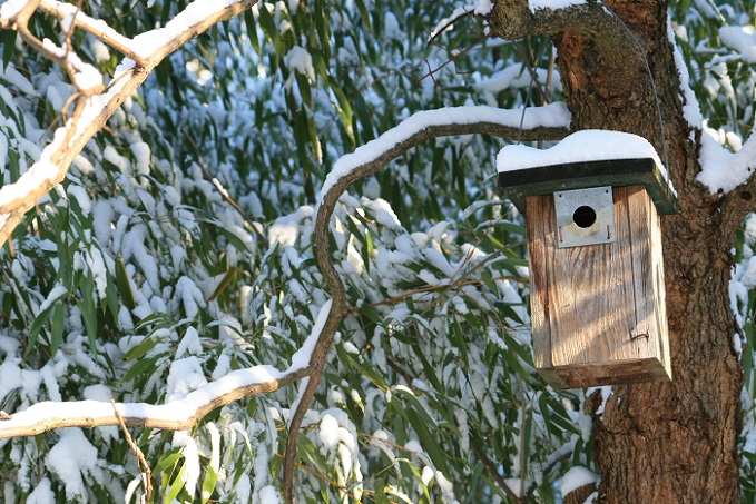 Wer den Garten weihnachtlich dekorieren möchte, der sollte auch einmal an die Vögel denken: Gerade bei Schnee und Frost finden die Piepmatze kein Futter im Freien und profitieren von einer Futterstelle. (#04)