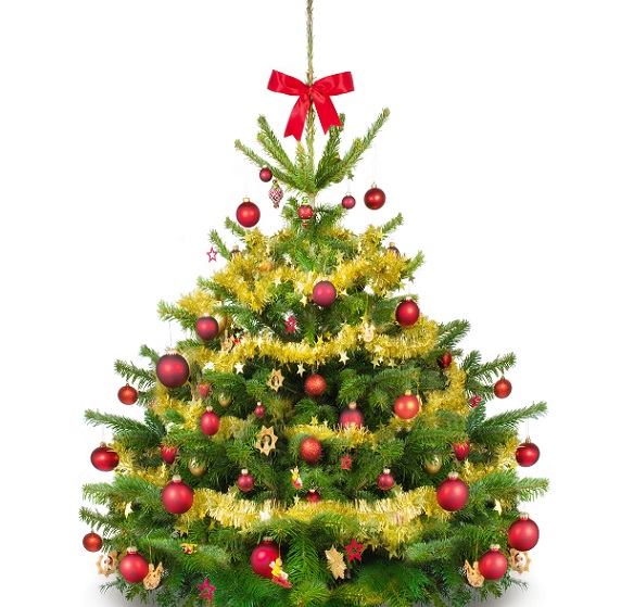 Beim Weihnachtsbaum Schmücken kommt es jedoch nicht nur auf die Kugeln und Anhänger sowie die Girlanden bzw. Perlenketten an, sondern auch auf den Baum an sich. Wichtig ist, dass dieser direkt, wenn er bei Ihnen zu Hause angekommen ist, mit Wasser versorgt wird. (#04)