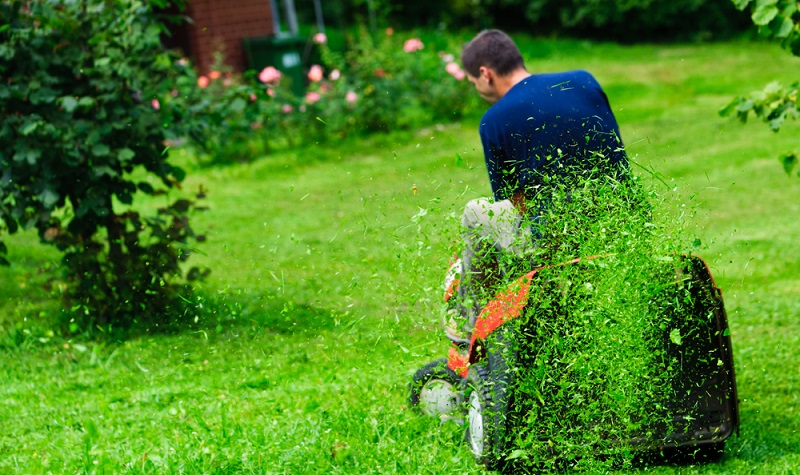 Natürlich gehört die Rasenpflege auch auf die Liste der Gartenarbeiten im Frühjahr ( Foto: Shutterstock-Evgeniya Moroz )