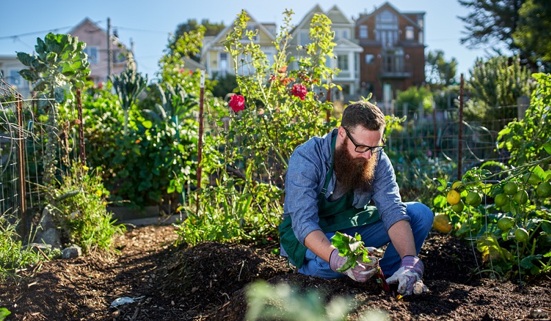 Im Frühjahr wird der Boden im Garten vorbereitet, außerdem können die ersten Gemüsepflanzen gesetzt werden. ( Foto: Shutterstock-oshua Resnick  )