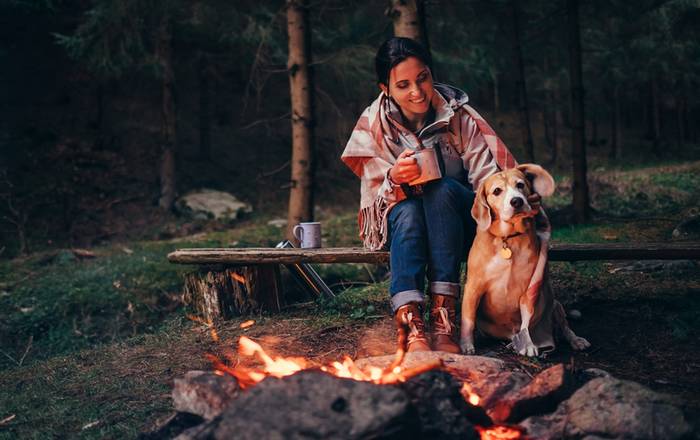 Campingplätze sind ebenfalls ein tolles Reiseziel mit dem Hund. (Foto: shutterstock - Soloviova Liudmyla)