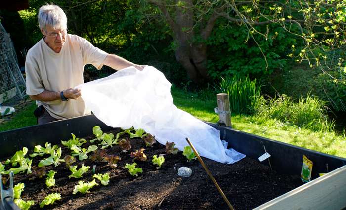  Ein Standort in der prallen Sonne ist für Salat ungeeignet, Zucchini, Tomaten und Erdbeeren hingegen lieben die Sonne. ( Foto: Adobe Stock - etfoto )