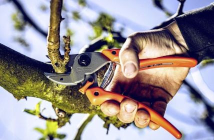 GardenPRO Hybrid-Scheren vereinen Amboss- und Bypass-Technik für kraftvolle (Foto: Gebr. Schröder GmbH, Original LÖWE)