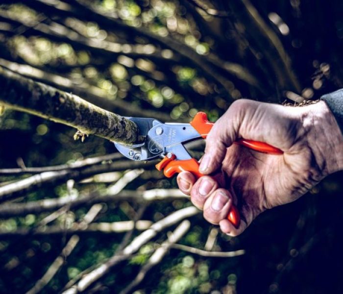 Schnittdurchmesser bis zu 30 mm mit der Einhandschere Original L&Ouml;WE (Foto: Gebr. Schr&ouml;der GmbH, Original L&Ouml;WE)