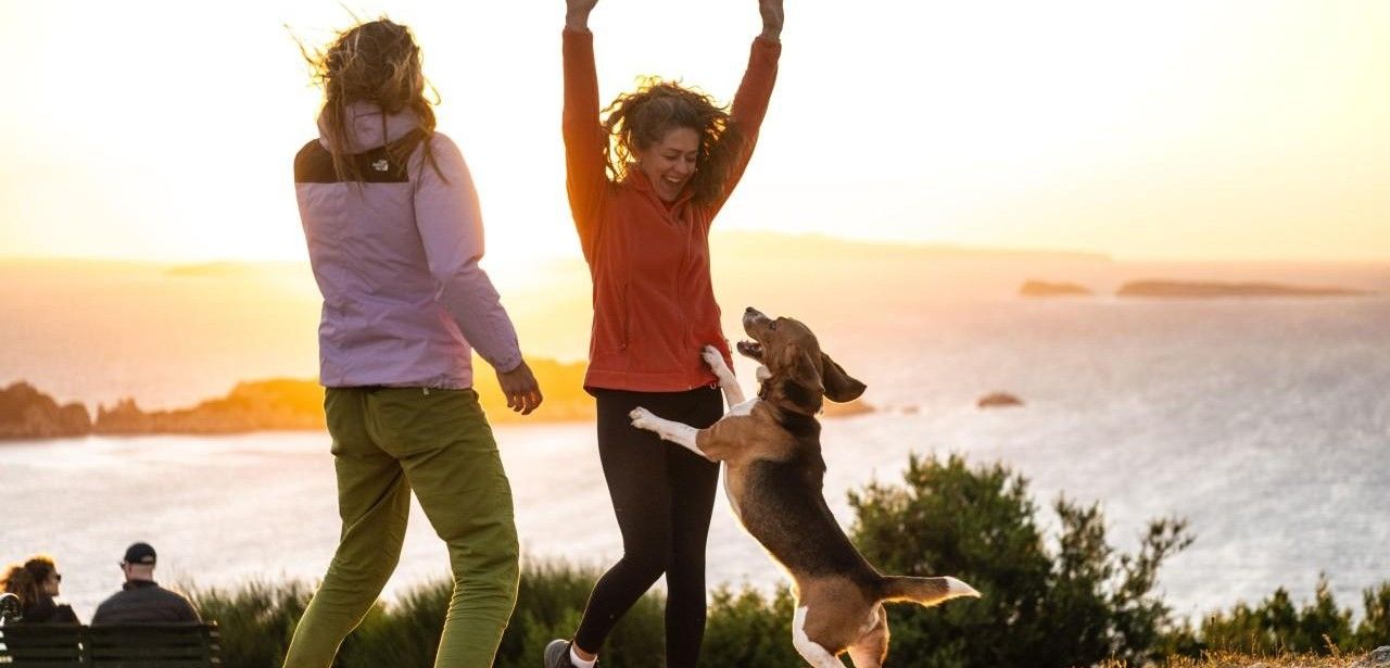 Wanderreisen mit Hund: 36 Routen, hundefreundliche Hotels und (Foto: Wikinger Reisen)
